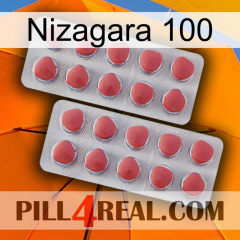 Nizagara 100 19